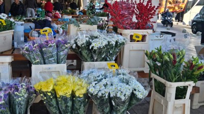 WhatsApp Image 2025-11-14 at 09.23.25.jpeg